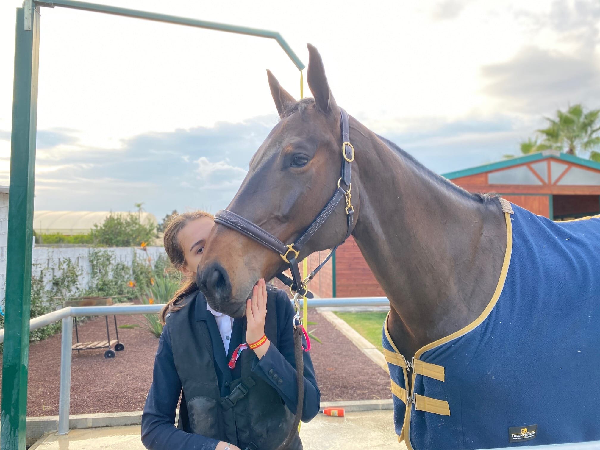 CUATRO JINETES NAVARROS PARTICIPAN EN EL CAMPEONATO DE ESPAÑA ABSOLUTO DE SALTOS 2020